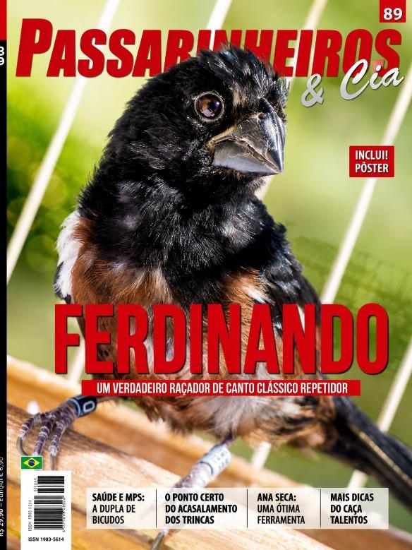 Ferdinando - Um verdadeiro raçador de canto clássico repetidor.